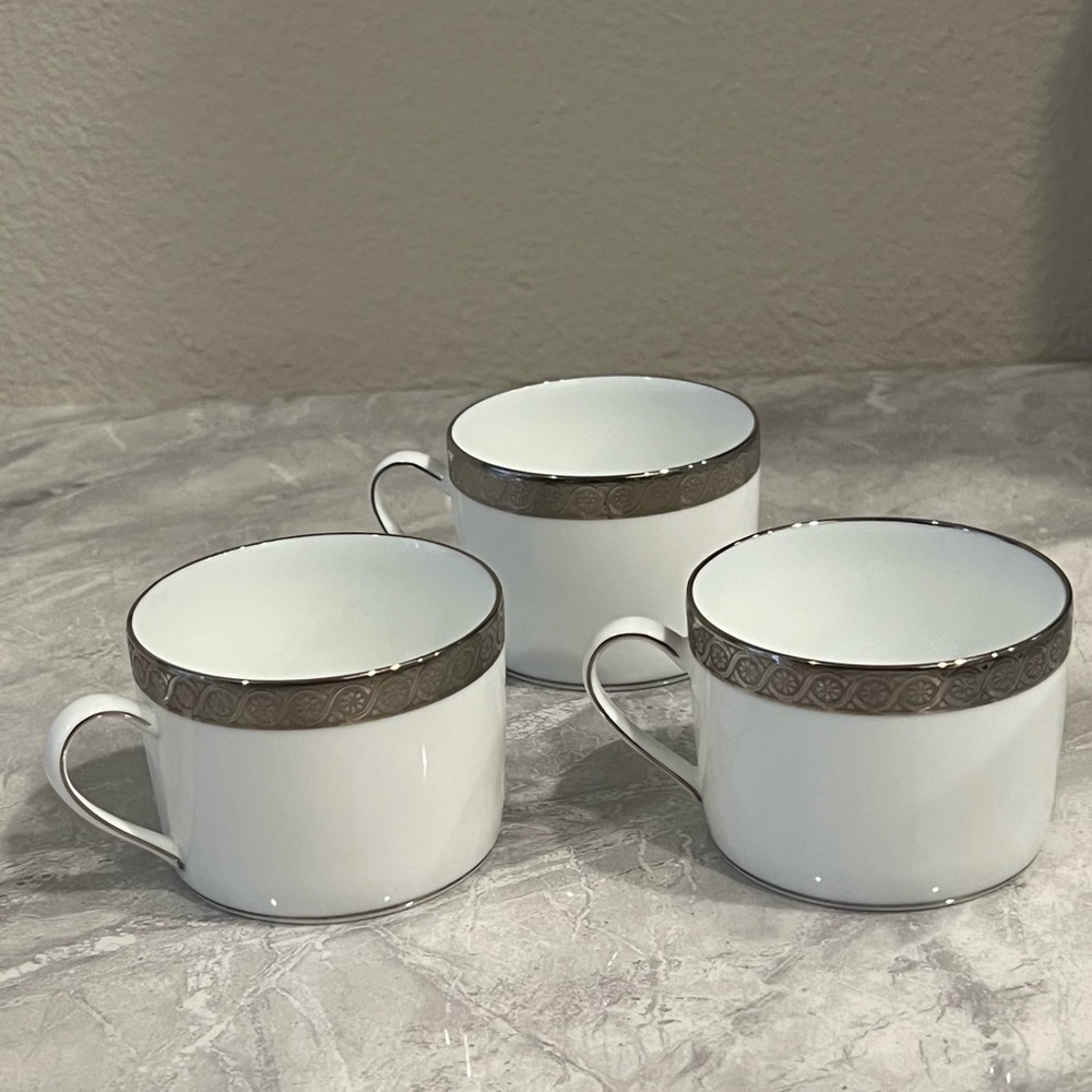 Bernardaud Torsade Platinum Tea Cup & Saucer Set - Picture 5 of 5